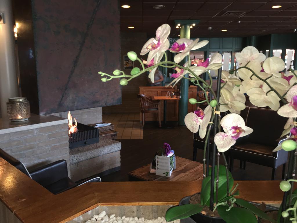Appartement Ut&Thus, Resort Amelander Kaap Hollum  Exterior foto